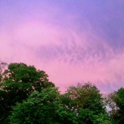 kaiyun手机版网页版登录入口截图