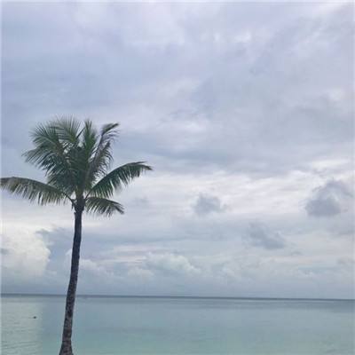 kaiyun手机版网页版登录入口